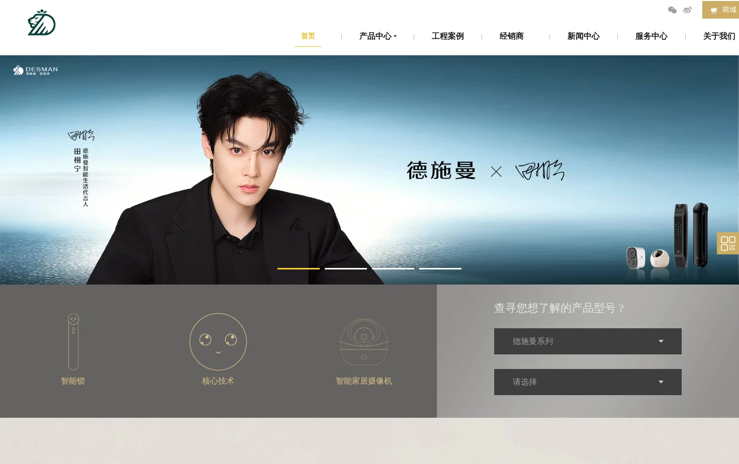 德施曼智能锁 页面快照